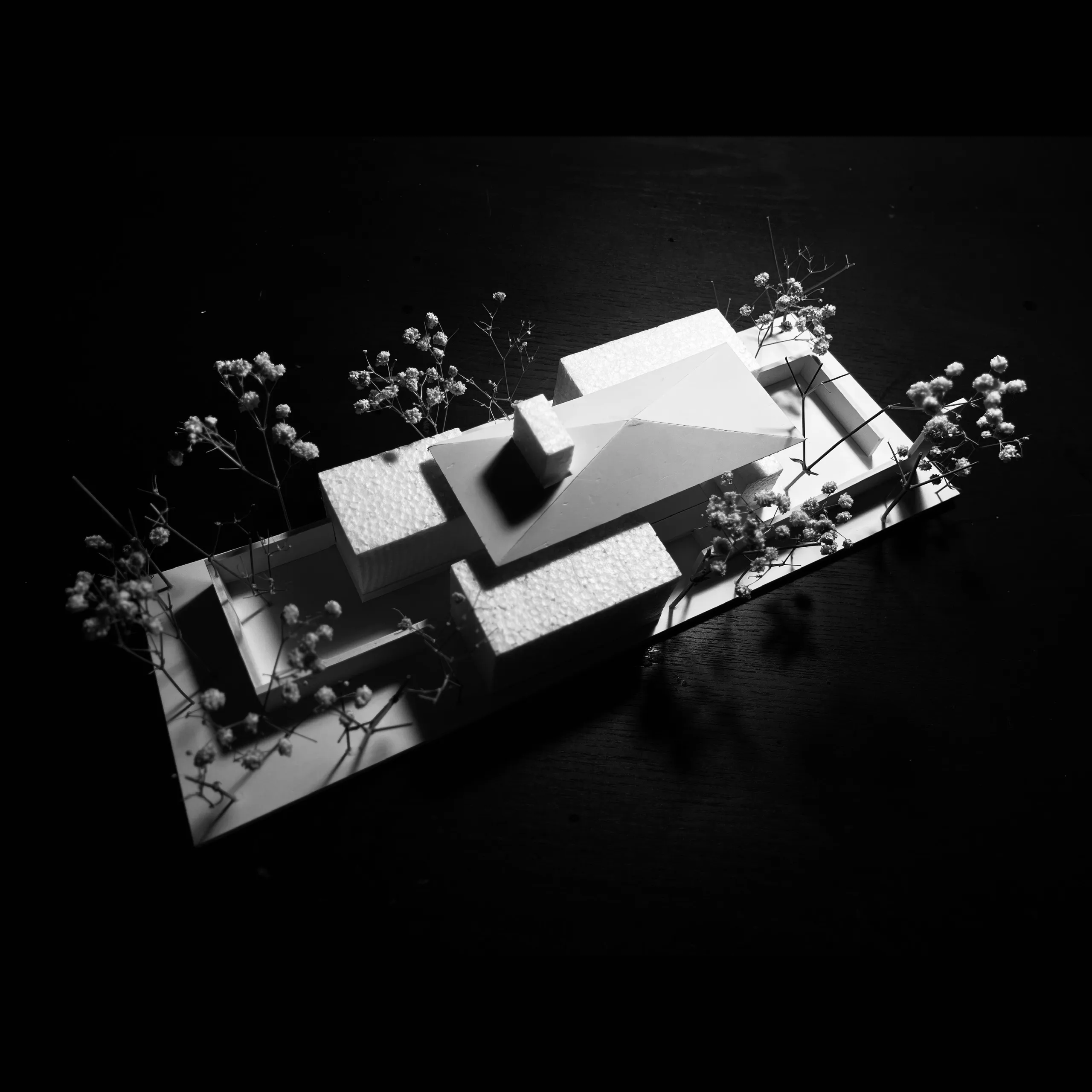 Variation - Thiết kế kiến trúc đa dạng